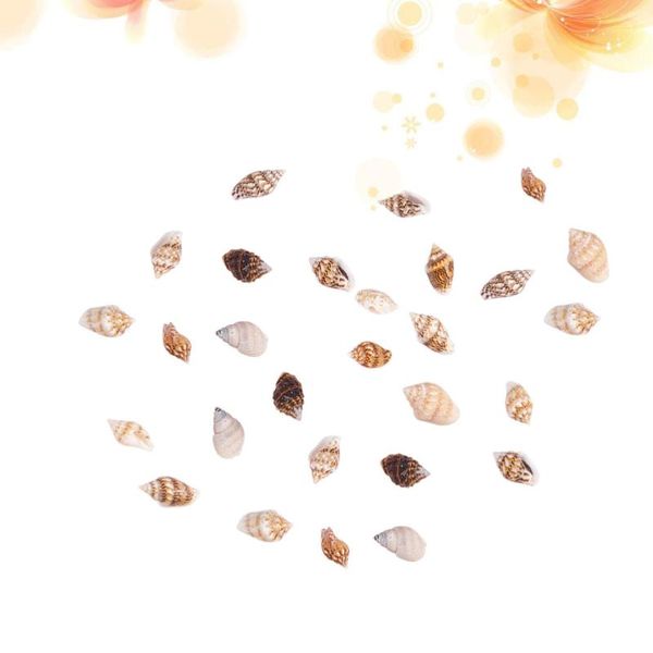 novelty items 1 box small conch home decoratio natural seashell decor crafts fish tank aquarium boutique decoration
novelty items 1 box small conch home decoratio natural seashell decor crafts fish tank aquarium boutique decoration