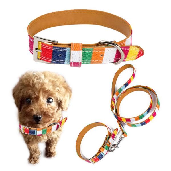 dog collars & leashes colorful collar para perro leash halsband hond correas perros obroza dla psa colier pour chien pets acessorios supplie
dog collars & leashes colorful collar para perro leash halsband hond correas perros obroza dla psa colier pour chien pets acessorios supplie