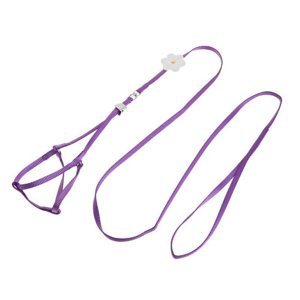 adjustable bird training leash portable small pets walking lead rope ultralight flying harness for parrot cat dog collars & leashes
adjustable bird training leash portable small pets walking lead rope ultralight flying harness for parrot cat dog collars & leashes