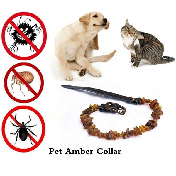 dog collars & leashes noble waterproof amber energy collar pet cat deworming anti-mosquitos ticks fleas stone necklace for small
dog collars & leashes noble waterproof amber energy collar pet cat deworming anti-mosquitos ticks fleas stone necklace for small