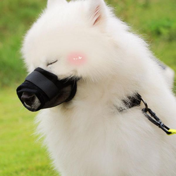 cat collars & leads anti barking dog muzzle for small large dogs mesh breathable adjustable pet mouth muzzles nylon straps mask training pro
cat collars & leads anti barking dog muzzle for small large dogs mesh breathable adjustable pet mouth muzzles nylon straps mask training pro