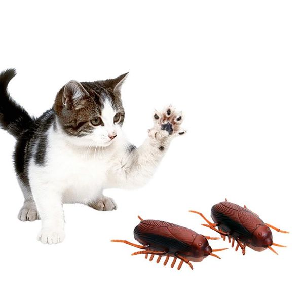 cat toys funny electronic pet interactive play toy for cats eletric running dog accessories
cat toys funny electronic pet interactive play toy for cats eletric running dog accessories