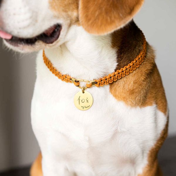 factory small tail handmade dog tag id collar dog chain anti lost lettering copper cat tag teddy
factory small tail handmade dog tag id collar dog chain anti lost lettering copper cat tag teddy