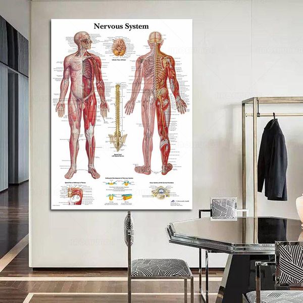 paintings wall art poster modular nervous system pictures hd printed anatomy canvas painting education home decoration living room
paintings wall art poster modular nervous system pictures hd printed anatomy canvas painting education home decoration living room