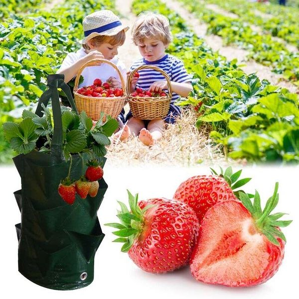 planters & pots 2pcs 3 gallon garden hanging planter grow bag plant pouch tomato strawberry flower bags
planters & pots 2pcs 3 gallon garden hanging planter grow bag plant pouch tomato strawberry flower bags