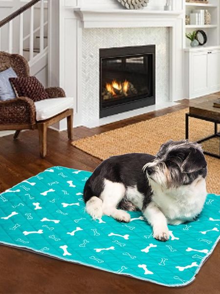 kennels & pens dog pee pads washable reusable pet training mat diapers puppy for dogs cats bed sofa mattress protector cover
kennels & pens dog pee pads washable reusable pet training mat diapers puppy for dogs cats bed sofa mattress protector cover