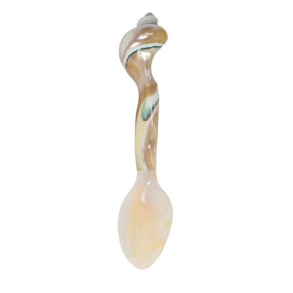 spoons exquisite seasoning spoon creative unique conch design kitchen supplies
spoons exquisite seasoning spoon creative unique conch design kitchen supplies