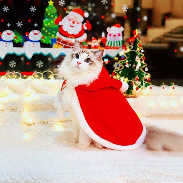 snailhouse christmas clothes for pet dog cats year suit puppy red cape cat cloak home decor po props accessory costumes
snailhouse christmas clothes for pet dog cats year suit puppy red cape cat cloak home decor po props accessory costumes