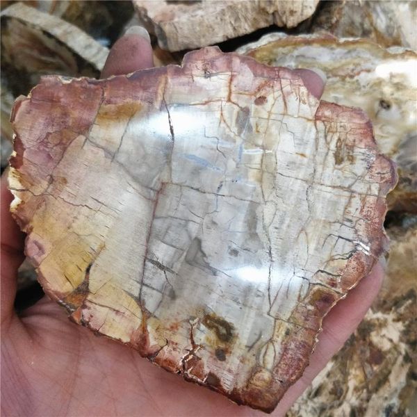 decorative objects & figurines 200g irregular natural rough woodstone slices wood fossil slab vintage untersetzer coasters raw xylopal stone
decorative objects & figurines 200g irregular natural rough woodstone slices wood fossil slab vintage untersetzer coasters raw xylopal stone