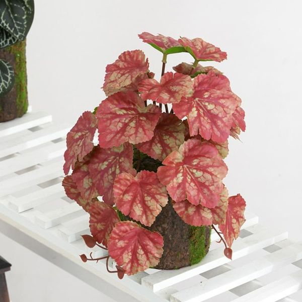 decorative flowers & wreaths artificial plants fake flower simulation plant decoration wooden heuchen home garden ornaments model
decorative flowers & wreaths artificial plants fake flower simulation plant decoration wooden heuchen home garden ornaments model