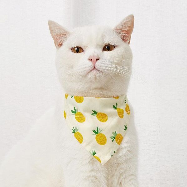 cat carriers,crates & houses pet triangle scarf cute ribbon collar tie puppy adjustable bibs neckerchief dog soft large accessories
cat carriers,crates & houses pet triangle scarf cute ribbon collar tie puppy adjustable bibs neckerchief dog soft large accessories