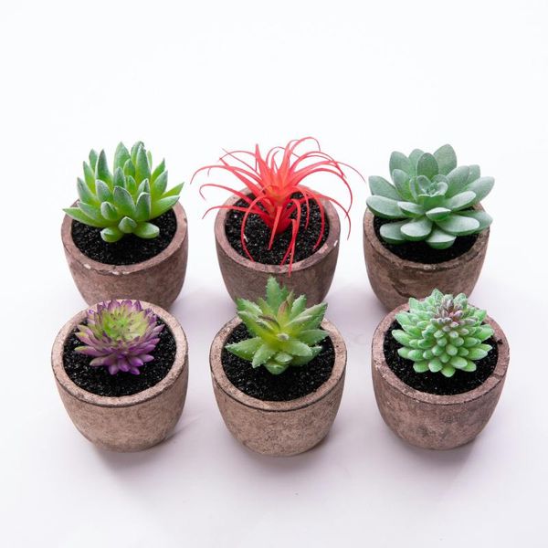 decorative flowers & wreaths assorted plants pulp bonsai creative decorations home interior artificial succulents
decorative flowers & wreaths assorted plants pulp bonsai creative decorations home interior artificial succulents