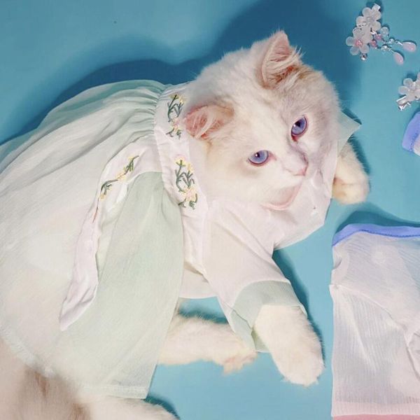 thin cat clothes kitten anti-hair fall summer skirt teddy dog pet cute spring and autumn hanfu dress woman costumes
thin cat clothes kitten anti-hair fall summer skirt teddy dog pet cute spring and autumn hanfu dress woman costumes