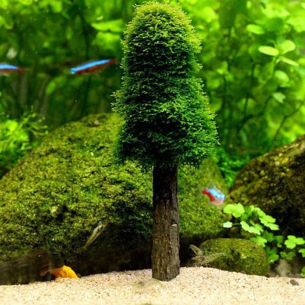 decorations lifelike simulation xmas moss christmas tree plant grow for aquarium tank decoration tools
decorations lifelike simulation xmas moss christmas tree plant grow for aquarium tank decoration tools