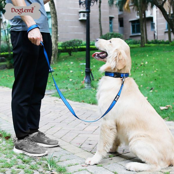 dog apparel pet clothes strap traction rope comfortable reflective nylon chain teddy gold wool professional walking
dog apparel pet clothes strap traction rope comfortable reflective nylon chain teddy gold wool professional walking