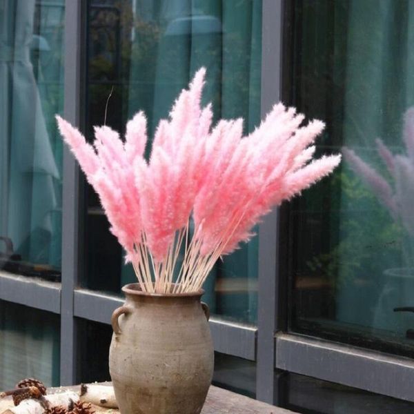 decorative flowers & wreaths 15pcs/1 bunch natural dried bulrush small pampas grass phragmites communis reed plant wedding flower home decor
decorative flowers & wreaths 15pcs/1 bunch natural dried bulrush small pampas grass phragmites communis reed plant wedding flower home decor