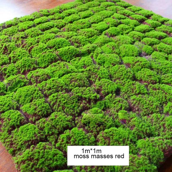 decorative flowers & wreaths 10 square meters simulation green plant carpet wall moss turf lawn home wedding decoration scene window props
decorative flowers & wreaths 10 square meters simulation green plant carpet wall moss turf lawn home wedding decoration scene window props
