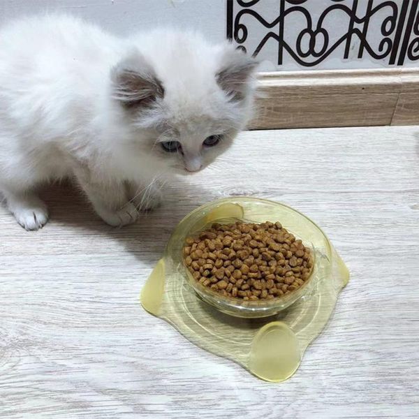 cat bowls & feeders pet supplies candy color transparent crystal single bowl dog food and furniture
cat bowls & feeders pet supplies candy color transparent crystal single bowl dog food and furniture