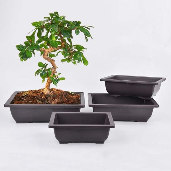 nordic-style flowers bonsai pots with tray plastic balcony square/rectangle plants bowl nursery garden supplies planters &
nordic-style flowers bonsai pots with tray plastic balcony square/rectangle plants bowl nursery garden supplies planters &