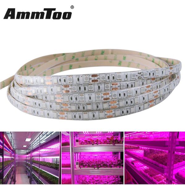 grow lights red:blue 3:1 4:1 5:1 waterproof growing strip plant growth light for diy hydroponic box tent strips led
grow lights red:blue 3:1 4:1 5:1 waterproof growing strip plant growth light for diy hydroponic box tent strips led