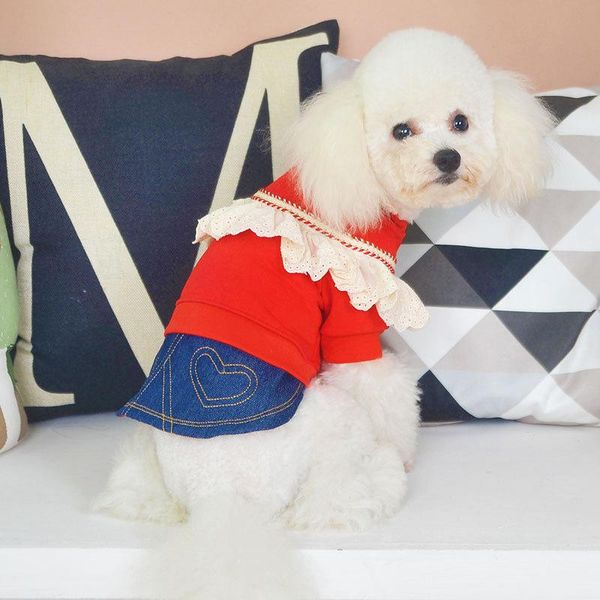 dog apparel clothes for 2021 autumn and winter openwork lace design denim skirt small puppy warm red yellow colors dresses
dog apparel clothes for 2021 autumn and winter openwork lace design denim skirt small puppy warm red yellow colors dresses