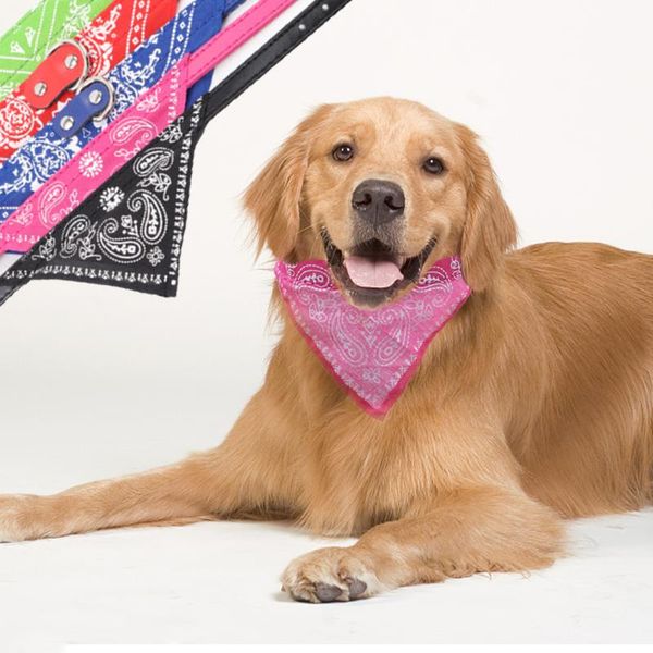 dog collars & leashes adjustable neckline cat and polyester material scarf print pattern all seasons pet triangle towel available in five co
dog collars & leashes adjustable neckline cat and polyester material scarf print pattern all seasons pet triangle towel available in five co