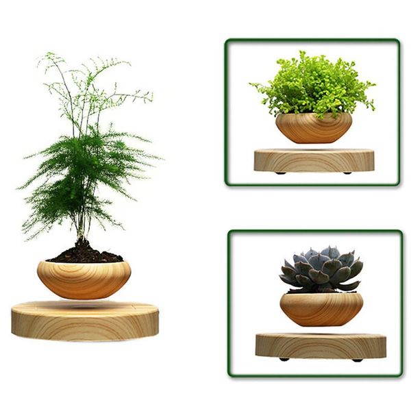 vases high-tech products magnetic levitation air bonsai no plant wood flower small pine pot culture decorative flowerpot decoration
vases high-tech products magnetic levitation air bonsai no plant wood flower small pine pot culture decorative flowerpot decoration