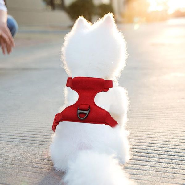 dog collars & leashes home harness vest adjustable soft breathable suede for dogs puppy collar cat pet chest strap
dog collars & leashes home harness vest adjustable soft breathable suede for dogs puppy collar cat pet chest strap