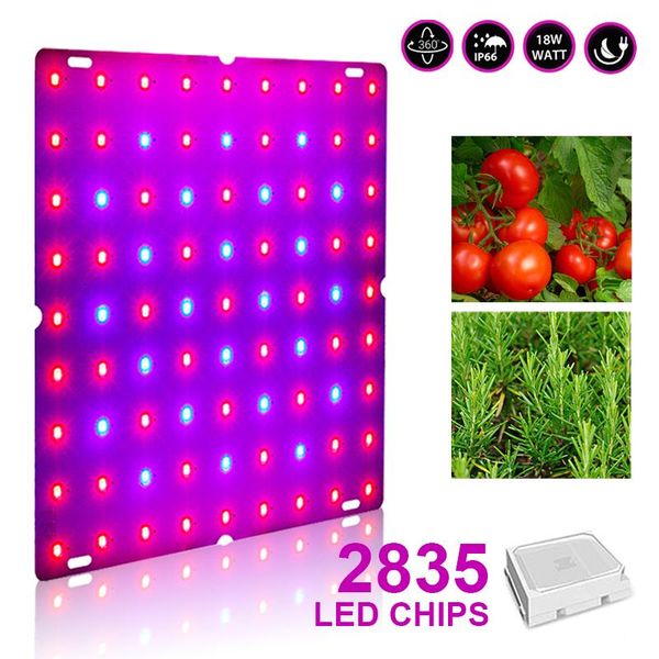grow lights 265v phytolamp for plants full spectrum hydroponics plant lamp led light smd 2835 beads quantum board growth lighting
grow lights 265v phytolamp for plants full spectrum hydroponics plant lamp led light smd 2835 beads quantum board growth lighting