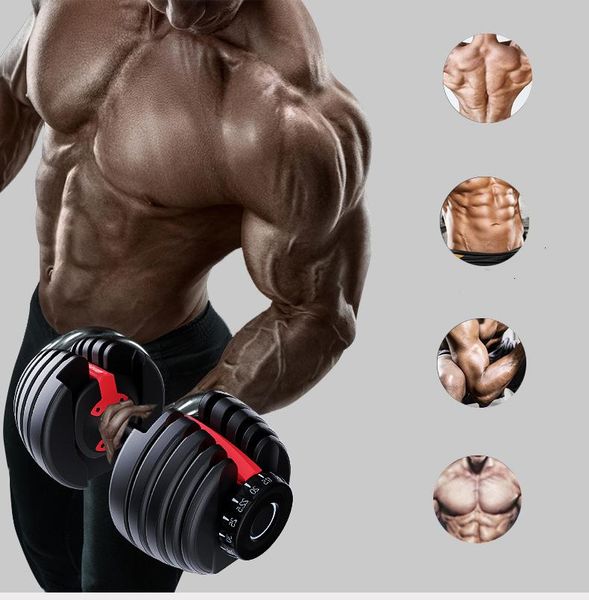 adjustable dumbbell for home 24kg /52.2lbs gym and workout with handle plates weights men women fitness dumbbells
adjustable dumbbell for home 24kg /52.2lbs gym and workout with handle plates weights men women fitness dumbbells