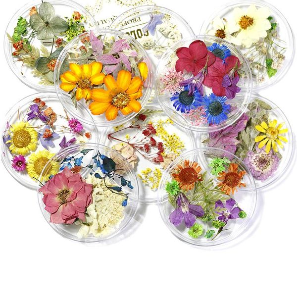 nail art decorations trendy natural dried flowers gypsophila green leaves manicure jewelry accessories wholesale drop, Silver;gold
nail art decorations trendy natural dried flowers gypsophila green leaves manicure jewelry accessories wholesale drop, Silver;gold