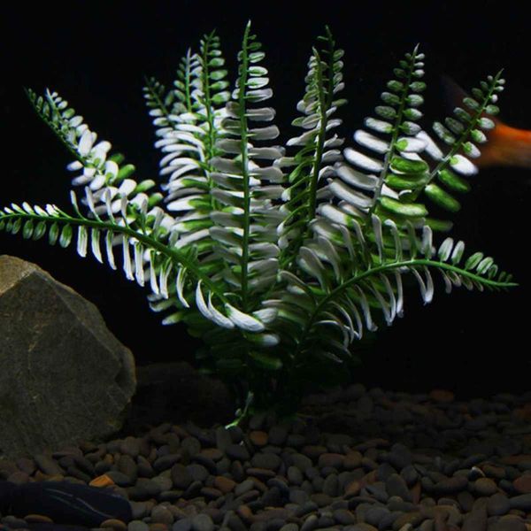 plastic artificial underwater plants aquarium fish tank decoration green water grass white leaf crown viewing decorations
plastic artificial underwater plants aquarium fish tank decoration green water grass white leaf crown viewing decorations