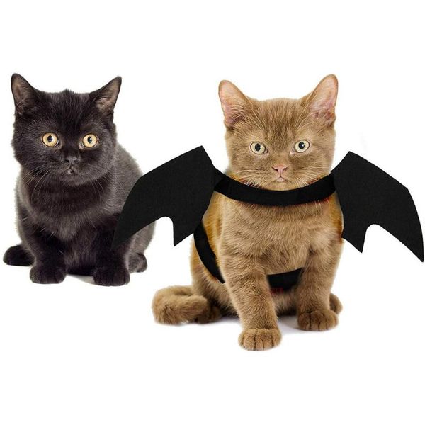 cat costumes pet bat wings costume kitten puppy halloween party cosplay clothes with cute pumpkins bells po props accessories
cat costumes pet bat wings costume kitten puppy halloween party cosplay clothes with cute pumpkins bells po props accessories