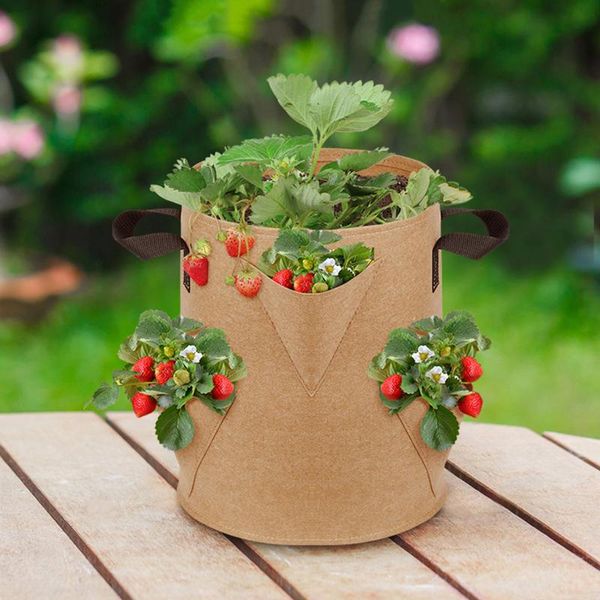 planters & pots non-woven fabric planting bags planter pot with handles flowerpots garden supplies 3 pcs widely used visualization pockets
planters & pots non-woven fabric planting bags planter pot with handles flowerpots garden supplies 3 pcs widely used visualization pockets