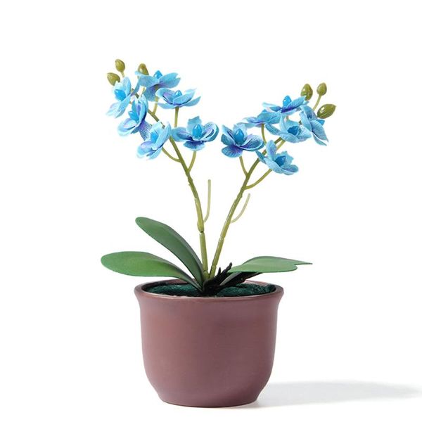 decorative flowers & wreaths artificial phalaenopsis plant with clear lines highly simulated garden decoration
decorative flowers & wreaths artificial phalaenopsis plant with clear lines highly simulated garden decoration