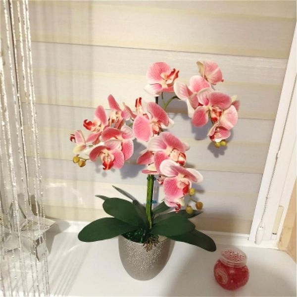 decorative flowers & wreaths 3d artificial butterfly orchid fake moth flor flower for home wedding diy decoration real touch decor flore
decorative flowers & wreaths 3d artificial butterfly orchid fake moth flor flower for home wedding diy decoration real touch decor flore