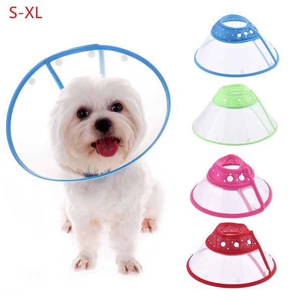 dog collars & leashes cat collar neck cone recovery elizabethan for anti-bite lick wound healing pet dogs health
dog collars & leashes cat collar neck cone recovery elizabethan for anti-bite lick wound healing pet dogs health