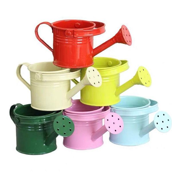 watering equipments galvanized iron can portable small lightweight plants flowers water flower pot for home garden indoor outdoor
watering equipments galvanized iron can portable small lightweight plants flowers water flower pot for home garden indoor outdoor