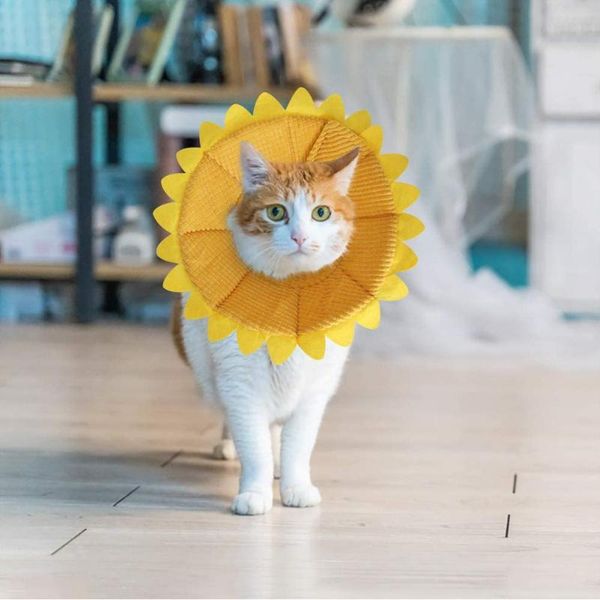 cat collars & leads summer cute pet protective for dogs cats wound healing protection dog anti-bite neck cone recovery circle
cat collars & leads summer cute pet protective for dogs cats wound healing protection dog anti-bite neck cone recovery circle