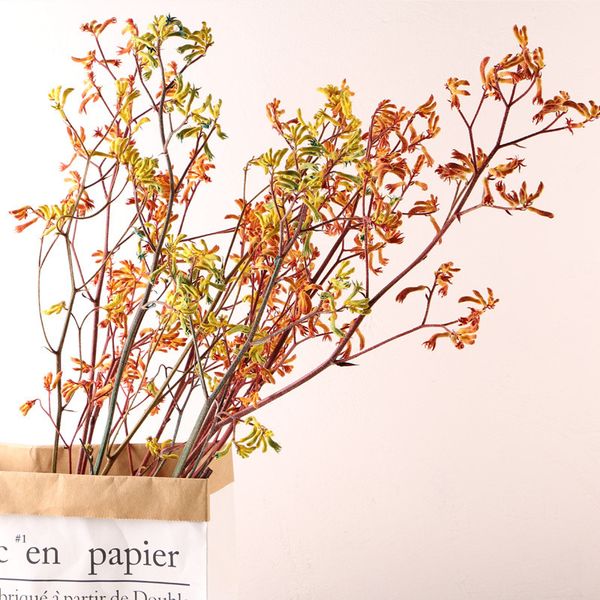 natural dried flowers small fresh kangaroo paws holiday ieisure home party diy essential decoration flores secas dekoration
natural dried flowers small fresh kangaroo paws holiday ieisure home party diy essential decoration flores secas dekoration