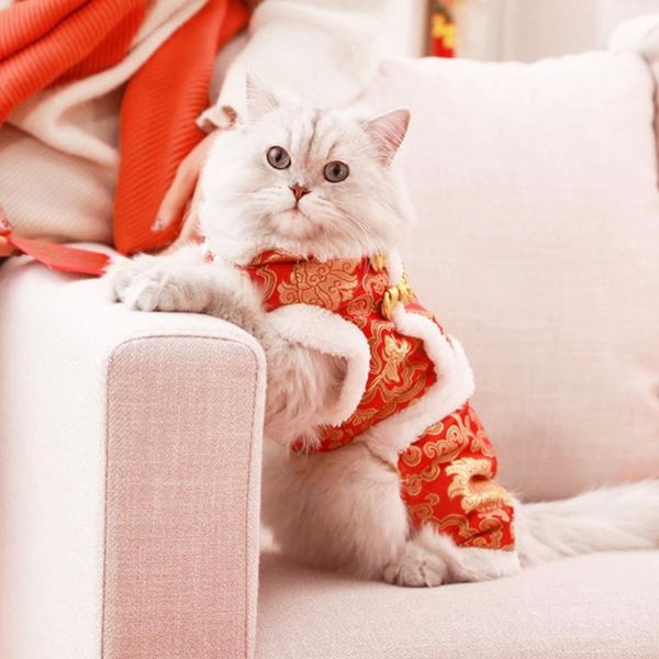 cat costumes year autumn winter sweater dog warm clothes pet for kitten clothing lovely hoodies vest cute costume n129
cat costumes year autumn winter sweater dog warm clothes pet for kitten clothing lovely hoodies vest cute costume n129