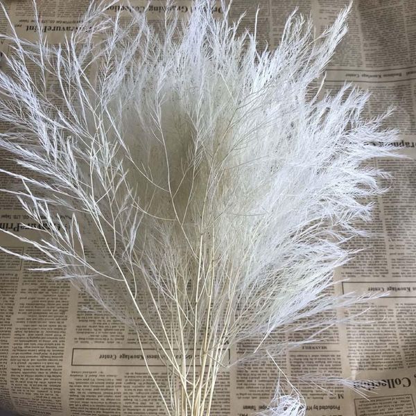 decorative flowers & wreaths 10pcs/about 40cm real dried natural preserved feather grass,dry arundinacea eternelle,home decor,wedding decora
decorative flowers & wreaths 10pcs/about 40cm real dried natural preserved feather grass,dry arundinacea eternelle,home decor,wedding decora