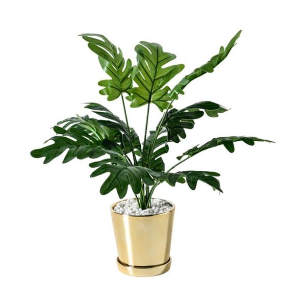 decorative flowers & wreaths 1pc simulation green plant bonsai potted home decoration
decorative flowers & wreaths 1pc simulation green plant bonsai potted home decoration