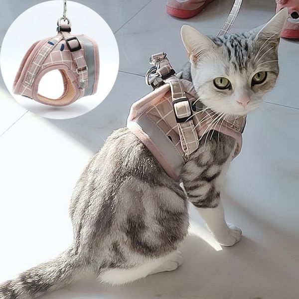 cat collars & leads fashion plaid harnesses for cats summer mesh pet harness and leash set katten kitty mascotas products gotas accessories
cat collars & leads fashion plaid harnesses for cats summer mesh pet harness and leash set katten kitty mascotas products gotas accessories