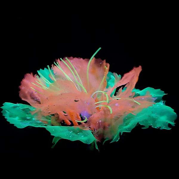 fish tank plants artificial aquarium coral silicone decoration fake aquatic ornament background accessories decorations
fish tank plants artificial aquarium coral silicone decoration fake aquatic ornament background accessories decorations