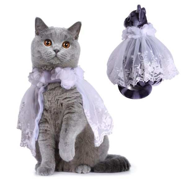 cat costumes cloak pet dog cape leisure teddy bear small costume dress po props supplies
cat costumes cloak pet dog cape leisure teddy bear small costume dress po props supplies
