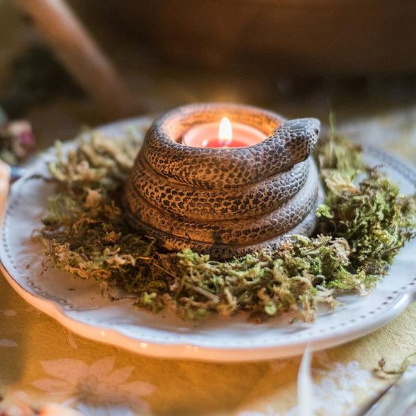 coiled snake arrangement candlestick candle cup flower ware alternative decoration gift garden creativity holders
coiled snake arrangement candlestick candle cup flower ware alternative decoration gift garden creativity holders