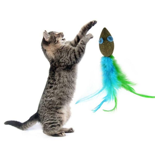 cat toys cats natural catnip toy mouse shape feather grass biscuits pet teeth treats cleaning products
cat toys cats natural catnip toy mouse shape feather grass biscuits pet teeth treats cleaning products