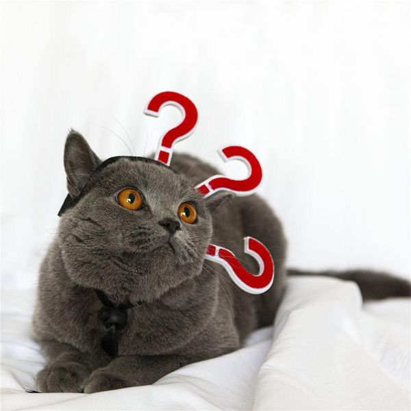 cat costumes pet hairpin dog po props artifact party supplies decoration hat funny headdress kitten accessories products
cat costumes pet hairpin dog po props artifact party supplies decoration hat funny headdress kitten accessories products