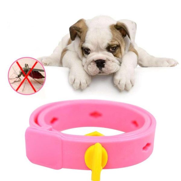 cat collars & leads inbepet dog collar anti mosquito flea lice pest tick dogs parasite deworming summer pets cats teddy
cat collars & leads inbepet dog collar anti mosquito flea lice pest tick dogs parasite deworming summer pets cats teddy